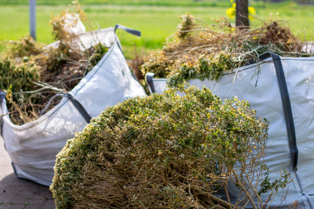 Best Same-Day Junk Removal  in Rensselaer, IN