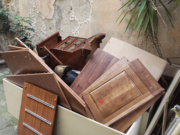 Yard Cleanup Services in Rensselaer, IN